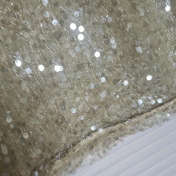 Sage & Fig Beige Sequin Cropped Blouse – Sparkle in Every Season - Picture 10 of 11